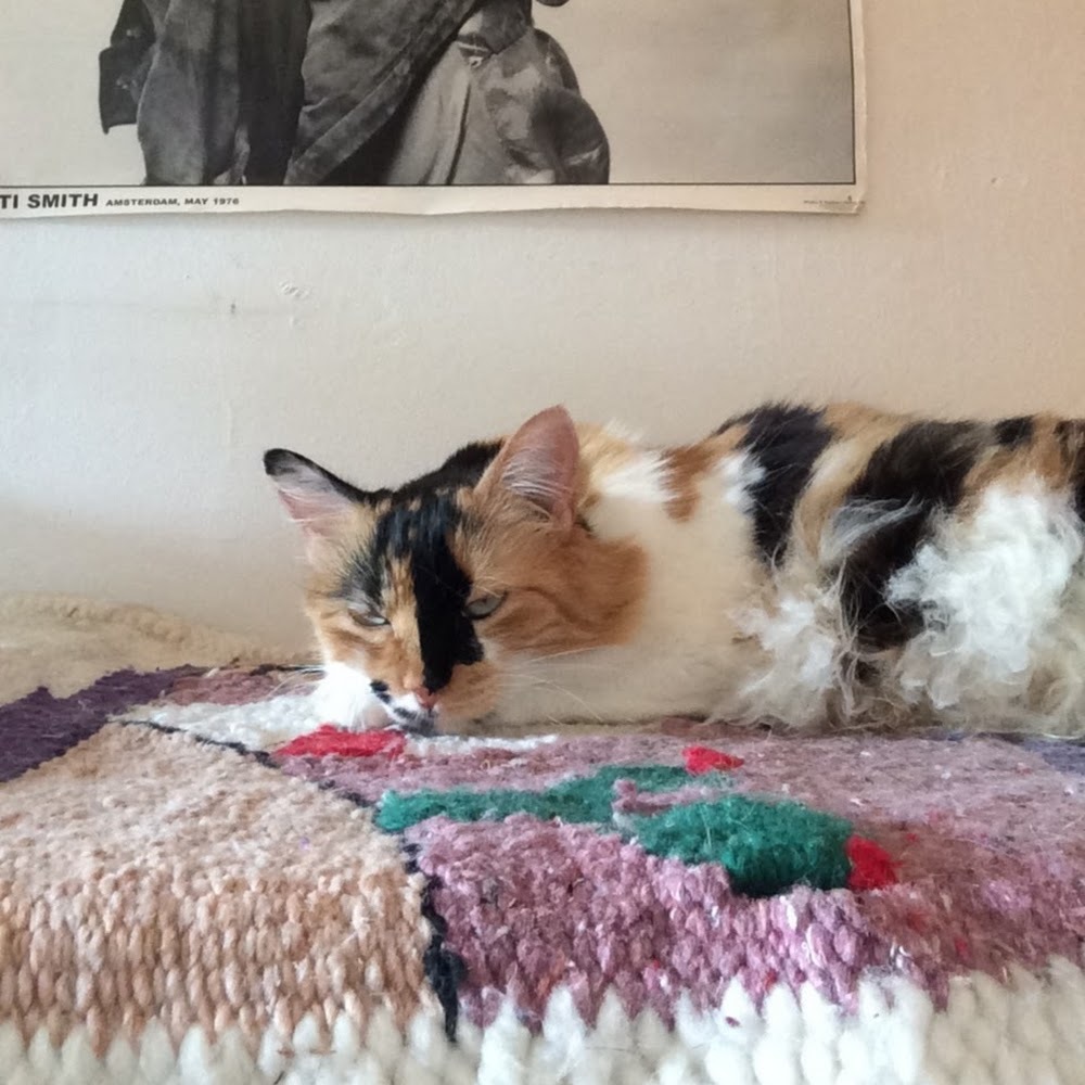 Meet your Posher, Gianna